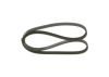 V-Ribbed Belt -