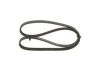 V-Ribbed Belt -