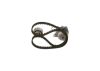 Water Pump & Timing Belt Kit -