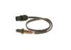 Oxygen Sensor Oxygen Sensor