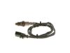 Oxygen Sensor -