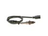 Oxygen Sensor -