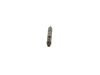 Nozzle and Holder Assembly -