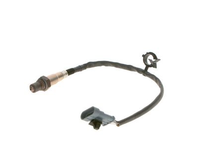 Oxygen Sensor -