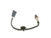 Oxygen Sensor -