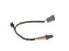 Oxygen Sensor -