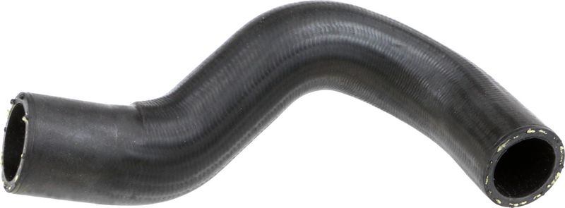 Radiator Hose -