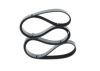 V-Ribbed Belt -