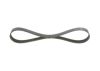 V-Ribbed Belt -
