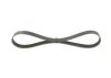 V-Ribbed Belt -