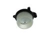 Interior Blower -
