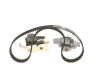 Water Pump & Timing Belt Kit -