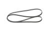 V-Ribbed Belt BMW - 11 28 2 247 493 - 5PK2063