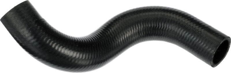 Radiator Hose -