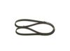 V-Ribbed Belt GENERAL MOTORS - 93181317 - 5PK1212