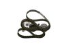 Timing Belt Kit -