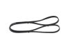 V-Ribbed Belt 4PK1520