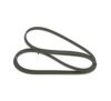 V-Ribbed Belt -