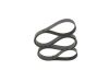 V-Ribbed Belt -