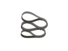 V-Ribbed Belt -