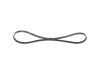 V-Ribbed Belt -