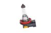 Bulb, spotlight H8 ECO