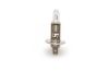 Bulb, spotlight H1 70W P14.5S MasterDuty