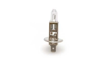 Bulb, spotlight H1 70W P14.5S MasterDuty