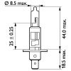Bulb, spotlight H1 70W P14.5S MasterDuty