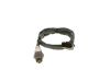 Oxygen Sensor -