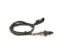 Oxygen Sensor -