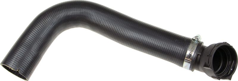 Radiator Hose -