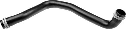 Radiator Hose -
