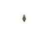 Nozzle and Holder Assembly -