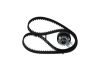 Timing Belt Kit -