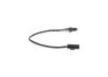 Oxygen Sensor -