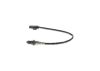 Oxygen Sensor -