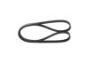 V-Ribbed Belt -