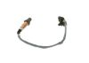 Oxygen Sensor GENERAL MOTORS - 55568668