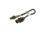 Oxygen Sensor -