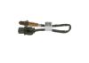 Oxygen Sensor -
