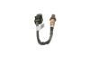 Oxygen Sensor -