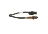 Oxygen Sensor -