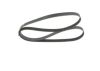 V-Ribbed Belt -