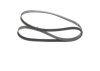V-Ribbed Belt -