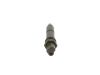 Nozzle and Holder Assembly -