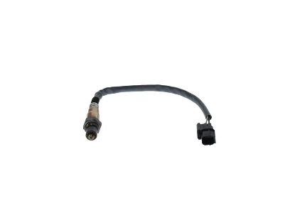 Oxygen Sensor -