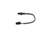 Oxygen Sensor -