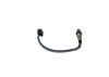 Oxygen Sensor -