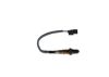 Oxygen Sensor -